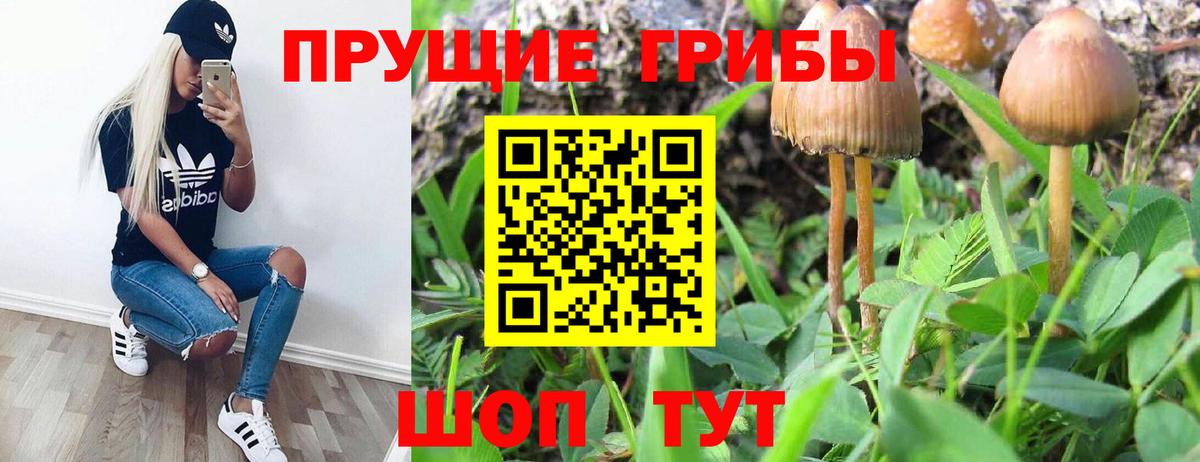 НБОМе Воткинск